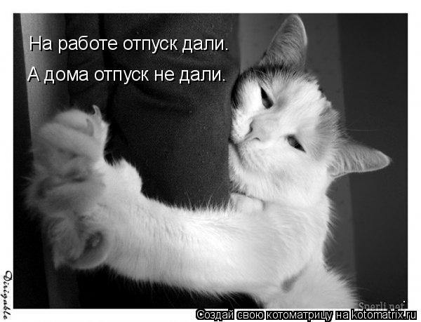 На работе отпуск дали. А дома отпуск не дали.... Котоматрица: На работе отпуск дали. А дома отпуск не дали.