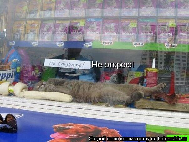 Не открою!... Котоматрица: Не открою!