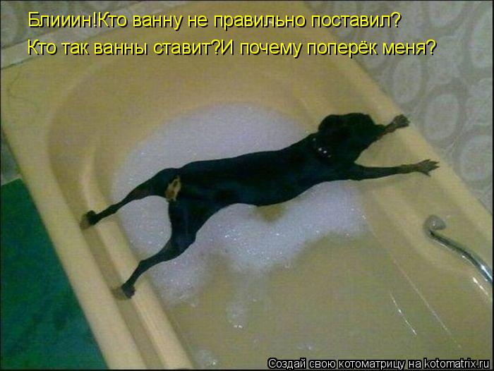 Блииин!Кто ванну не правильно поставил? Кто так ванны ставит?И почему поперёк меня?... Котоматрица: Блииин!Кто ванну не правильно поставил? Кто так ванны ставит?И почему поперёк меня?