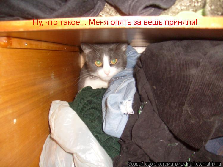 Ну, что такое... Меня опять за вещь приняли!... Котоматрица: Ну, что такое... Меня опять за вещь приняли!
