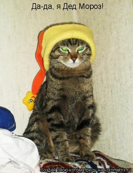 Да-да, я Дед Мороз!... Котоматрица: Да-да, я Дед Мороз!