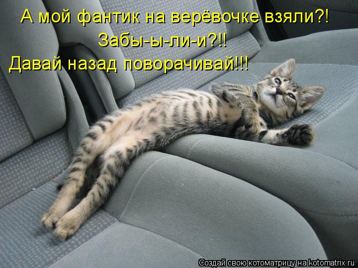 А мой фантик на верёвочке взяли?! Забы-ы-ли-и?!! Давай назад поворачивай!!!... Котоматрица: А мой фантик на верёвочке взяли?! Забы-ы-ли-и?!! Давай назад поворачивай!!!