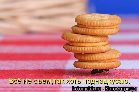 Котоматрица: Всё не съем,так хоть поднадкусаю.
