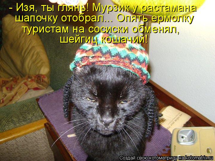 - Изя, ты глянь! Мурзик у растамана шапочку отобрал... Опять ермолку туристам на сосиски обменял, шей... Котоматрица: - Изя, ты глянь! Мурзик у растамана шапочку отобрал... Опять ермолку туристам на сосиски обменял, шейгиц кошачий!