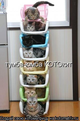 Котоматрица: тумба-юмба КОТОкит