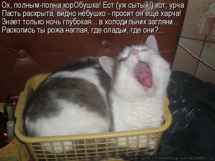 Котоматрица: Ох, полным-полна корОбушка! Ест (уж сытый!) кот, урча Пасть раскрыта, видно нёбушко - просит он ещё харча! Знает только ночь глубокая... в холоди