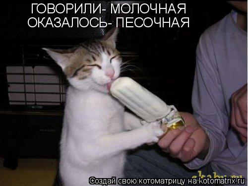 Котоматрица: ГОВОРИЛИ- МОЛОЧНАЯ  ОКАЗАЛОСЬ- ПЕСОЧНАЯ