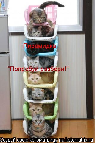 Пирамидка "Попробуй разбери!"... Котоматрица: Пирамидка "Попробуй разбери!"