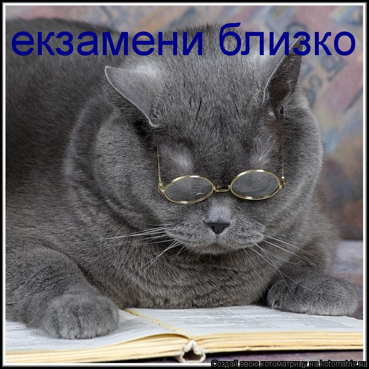 екзамени близко... Котоматрица: екзамени близко