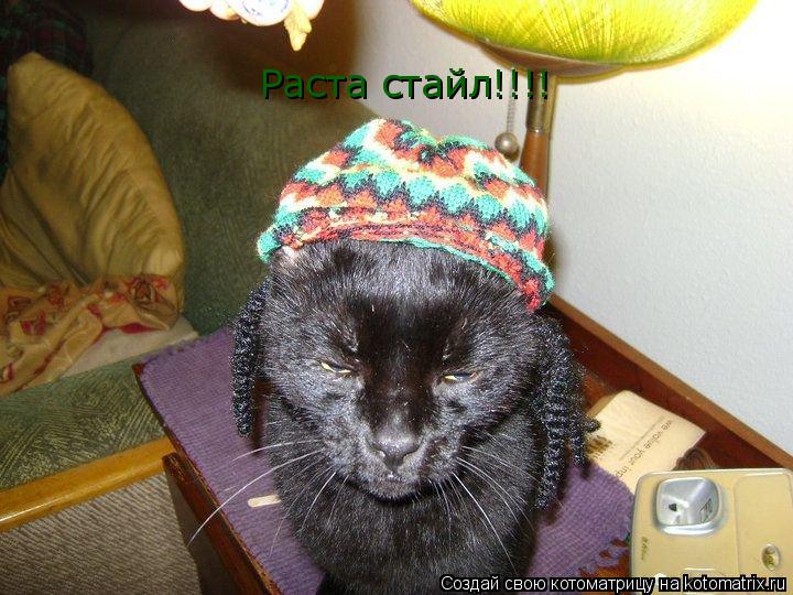 Раста стайл!!!!... Котоматрица: Раста стайл!!!!
