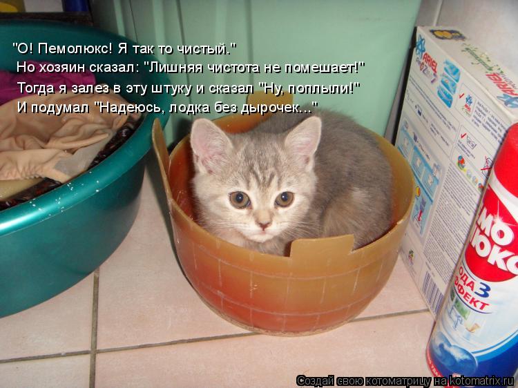 "О! Пемолюкс! Я так то чистый." Но хозяин сказал: "Лишняя чистота не помешает!" Тогда я залез в эту ш... Котоматрица: "О! Пемолюкс! Я так то чистый." Но хозяин сказал: "Лишняя чистота не помешает!" Тогда я залез в эту штуку и сказал "Ну, поплыли!" И подумал "Надеюс