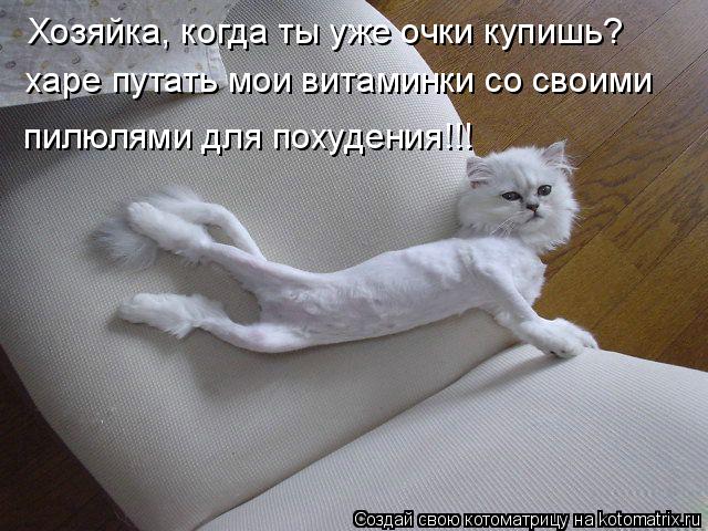 Хозяйка, когда ты уже очки купишь? харе путать мои витаминки со своими пилюлями для похудения!!!... Котоматрица: Хозяйка, когда ты уже очки купишь? харе путать мои витаминки со своими пилюлями для похудения!!!
