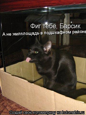 Фиг тебе, Барсик А не жилплощадь в подшкафном районе... Котоматрица: Фиг тебе, Барсик А не жилплощадь в подшкафном районе