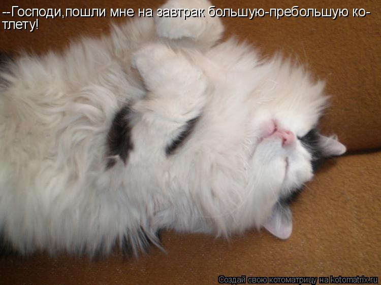 --Господи,пошли мне на завтрак большую-пребольшую ко- тлету!... Котоматрица: --Господи,пошли мне на завтрак большую-пребольшую ко- тлету!
