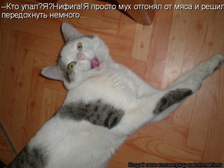 --Кто упал?Я?Нифига!Я просто мух отгонял от мяса и решил передохнуть немного...... Котоматрица: --Кто упал?Я?Нифига!Я просто мух отгонял от мяса и решил передохнуть немного...