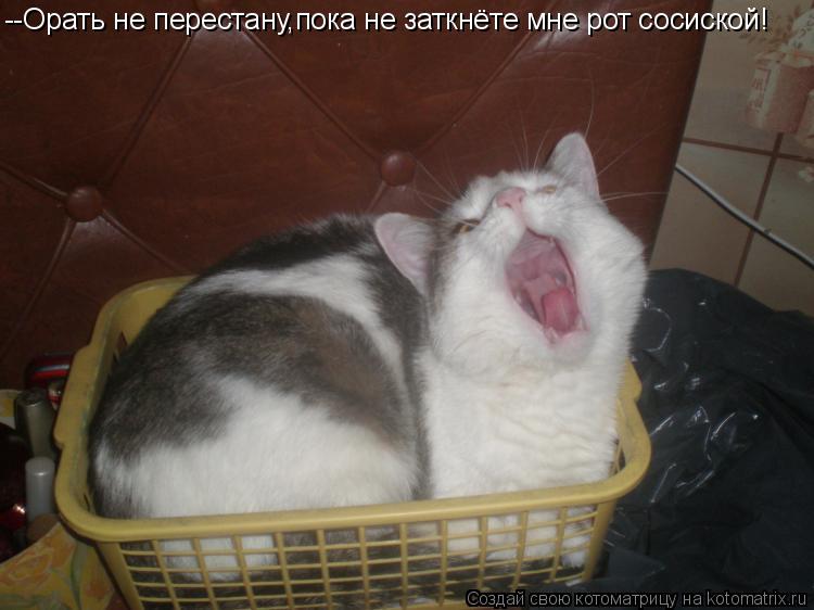--Орать не перестану,пока не заткнёте мне рот сосиской!... Котоматрица: --Орать не перестану,пока не заткнёте мне рот сосиской!