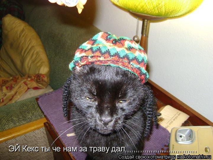 ЭЙ Кекс ты че нам за траву дал,,,,,,,,,,,,,,,,,,,,,,,,,,,,,,,,,... Котоматрица: ЭЙ Кекс ты че нам за траву дал,,,,,,,,,,,,,,,,,,,,,,,,,,,,,,,,,