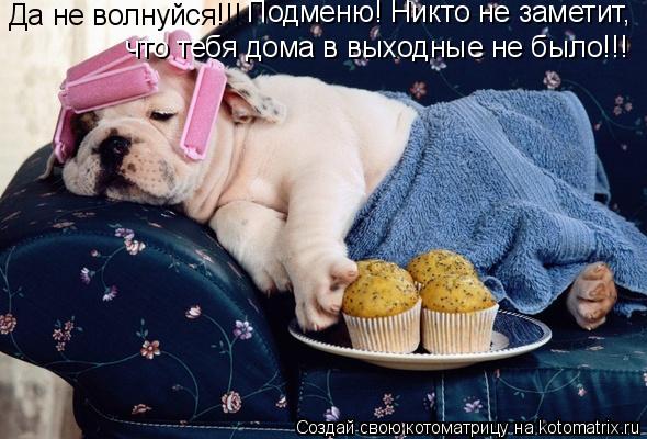 Да не волнуйся!!! Подменю! Никто не заметит, что тебя дома в выходные не было!!!... Котоматрица: Да не волнуйся!!! Подменю! Никто не заметит, что тебя дома в выходные не было!!!