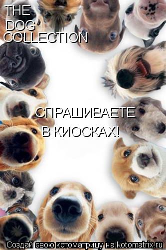 THE DOG COLLECTION СПРАШИВАЕТЕ В КИОСКАХ!... Котоматрица: THE DOG COLLECTION СПРАШИВАЕТЕ В КИОСКАХ!