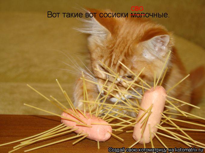 Котоматрица: Вот такие вот сосиски молочные. ------ сво
