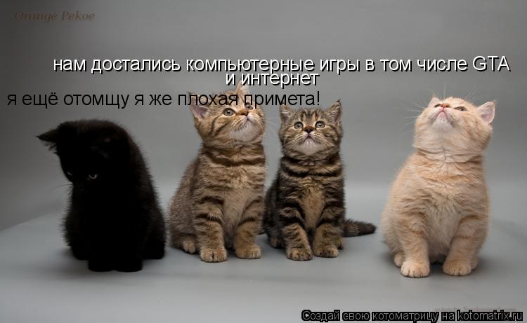 Котоматрица: нам достались компьютерные игры в том числе GTA и интернет я ещё отомщу я же плохая примета!