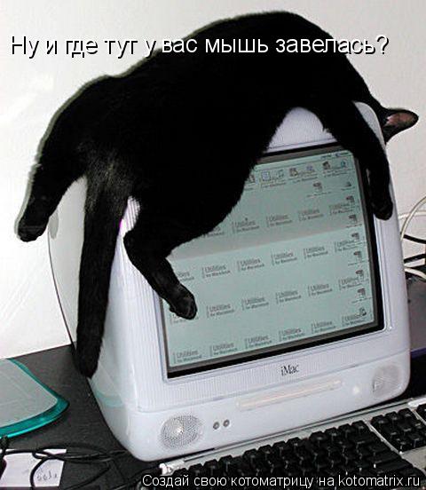 Котоматрица: Ну и где тут у вас мышь завелась?