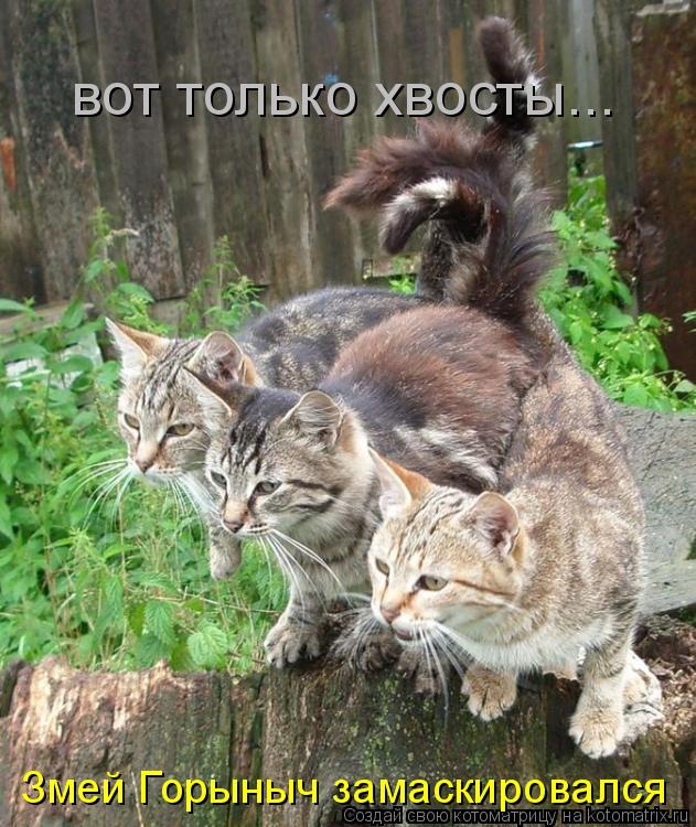 Котоматрица: Змей Горыныч замаскировался вот только хвосты...