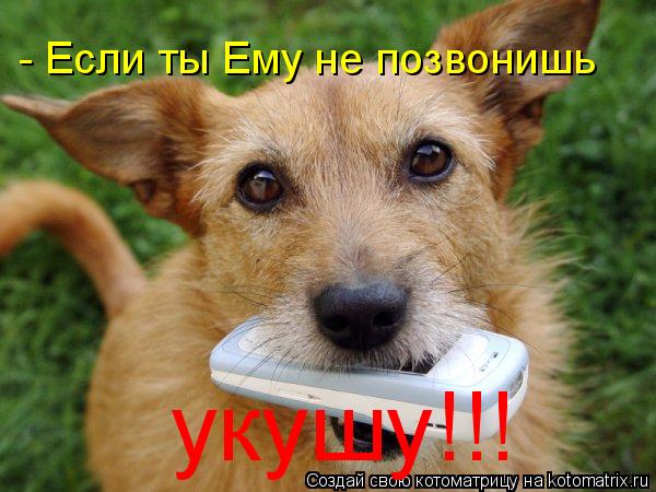 Котоматрица: - Если ты Ему не позвонишь укушу!!!