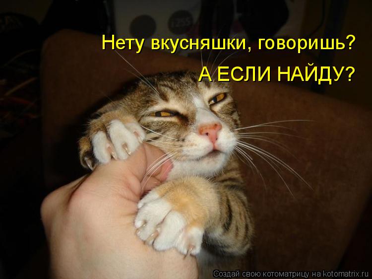 Котоматрица: Нету вкусняшки, говоришь? А ЕСЛИ НАЙДУ?