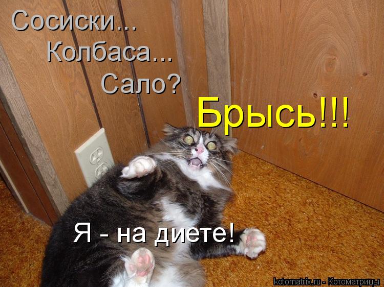 Котоматрица: Сосиски... Колбаса... Сало? Брысь!!! Я - на диете!