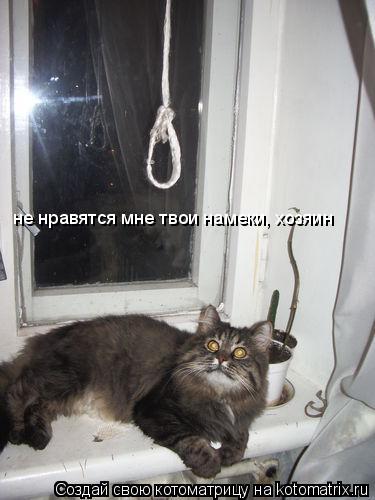 не нравятся мне твои намеки, хозяин... Котоматрица: не нравятся мне твои намеки, хозяин