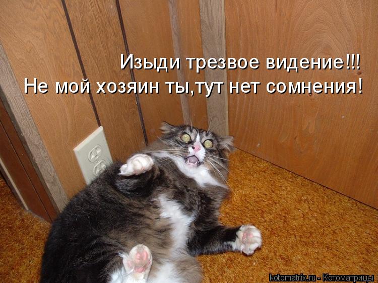 Изыди трезвое видение!!! Не мой хозяин ты,тут нет сомнения!... Котоматрица: Изыди трезвое видение!!! Не мой хозяин ты,тут нет сомнения!