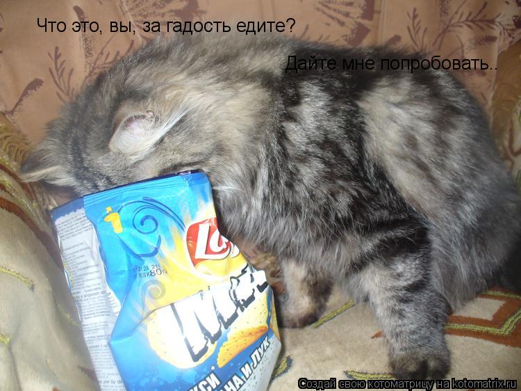 Дайте мне попробовать.. Что это, вы, за гадость едите?... Котоматрица: Дайте мне попробовать.. Что это, вы, за гадость едите?