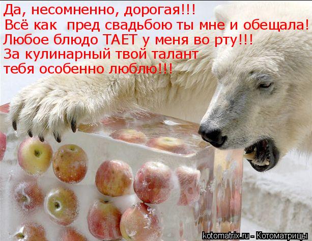 Да, несомненно, дорогая!!! Всё как пред свадьбою ты мне и обещала! Любое блюдо ТАЕТ у меня во рту!!!... Котоматрица: Да, несомненно, дорогая!!! Всё как пред свадьбою ты мне и обещала! Любое блюдо ТАЕТ у меня во рту!!! За кулинарный твой талант тебя особенно лю