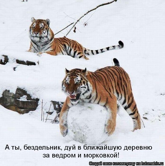 А ты, бездельник, дуй в ближайшую деревню за ведром и морковкой!... Котоматрица: А ты, бездельник, дуй в ближайшую деревню за ведром и морковкой!