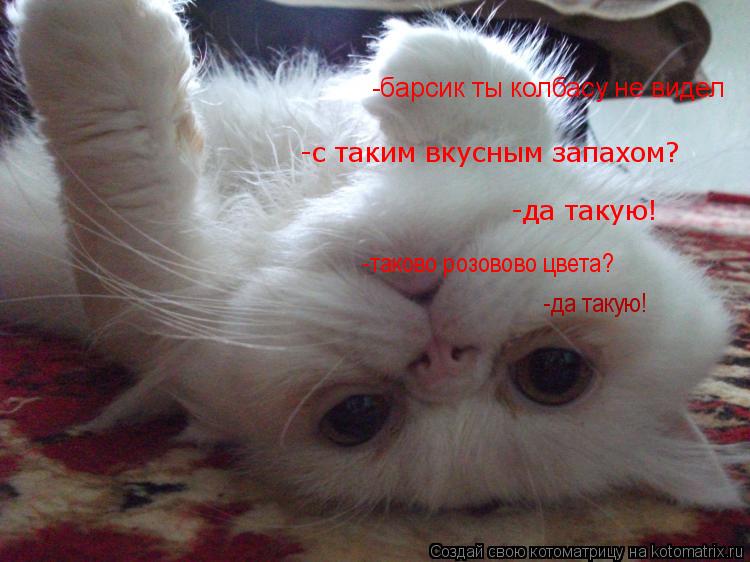 Котоматрица: -барсик ты колбасу не видел -с таким вкусным запахом? -да такую! -таково розовово цвета? -да такую!
