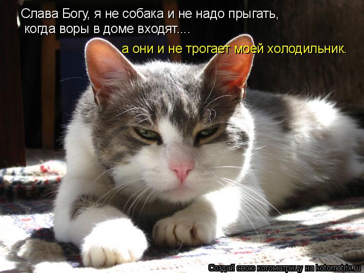 Слава Богу, я не собака и не надо прыгать, когда воры в доме входят.... а они и не трогает моей хол... Котоматрица: Слава Богу, я не собака и не надо прыгать, когда воры в доме входят.... а они и не трогает моей холодильник.