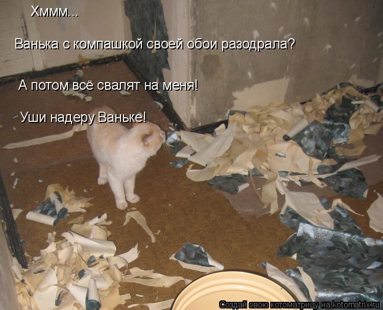 Хммм... Ванька с компашкой своей обои разодрала? А потом всё свалят на меня! Уши надеру Ваньке!... Котоматрица: Хммм... Ванька с компашкой своей обои разодрала? А потом всё свалят на меня! Уши надеру Ваньке!