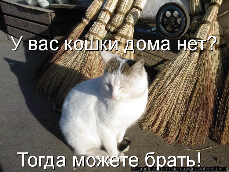 У вас кошки дома нет? Тогда можете брать!... Котоматрица: У вас кошки дома нет? Тогда можете брать!