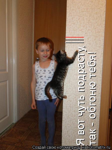 Я вот чуть подрасту, так - обгоню тебя! _____ _____ _____... Котоматрица: Я вот чуть подрасту, так - обгоню тебя! _____ _____ _____