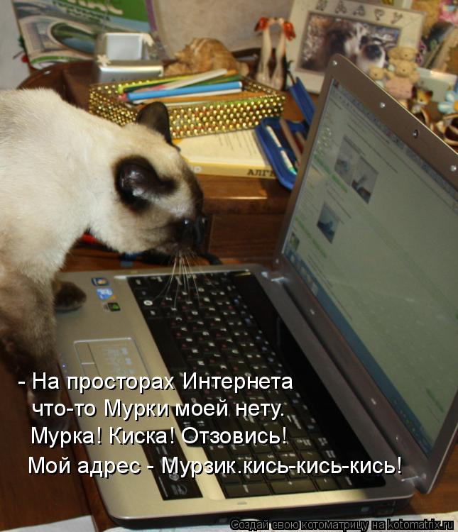 - На просторах Интернета что-то Мурки моей нету. Мурка! Киска! Отзовись! Мой адрес - Мурзик.кись-кис... Котоматрица: - На просторах Интернета что-то Мурки моей нету. Мурка! Киска! Отзовись! Мой адрес - Мурзик.кись-кись-кись!