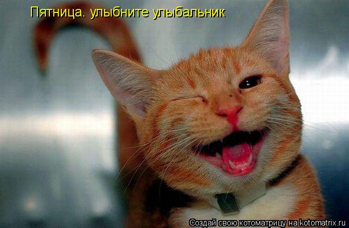 Пятница. улыбните улыбальник... Котоматрица: Пятница. улыбните улыбальник