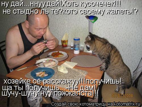 ну дай...ннуу.дай!Хоть кусочечек!!! не стыдно ль те?котэ своему жалеть!? хозейке сё расскажуу!!!получ... Котоматрица: ну дай...ннуу.дай!Хоть кусочечек!!! не стыдно ль те?котэ своему жалеть!? хозейке сё расскажуу!!!получишь! ща ты получишь...-Не дам! шучу-шучу!нуу п