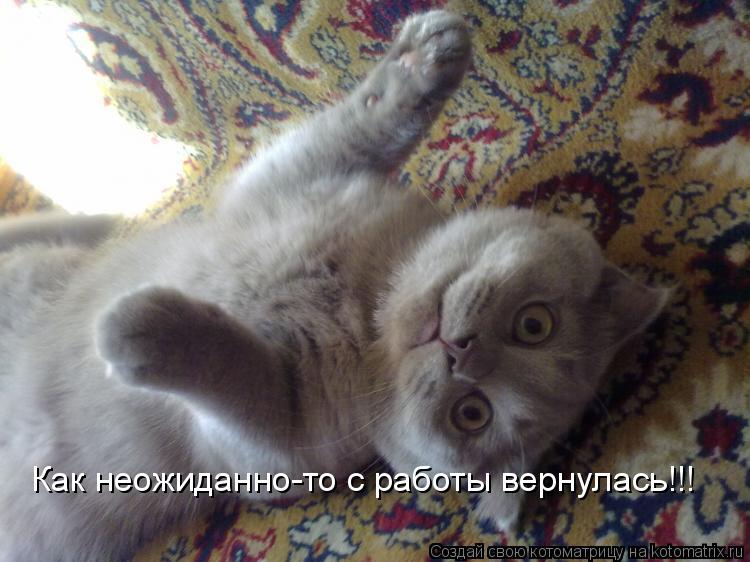 Как неожиданно-то с работы вернулась!!!... Котоматрица: Как неожиданно-то с работы вернулась!!!