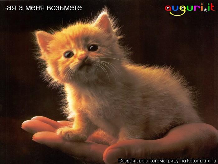 -ая а меня возьмете... Котоматрица: -ая а меня возьмете