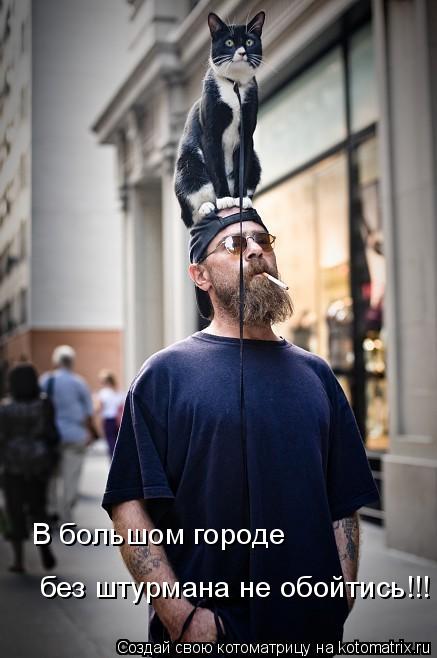 В большом городе без штурмана не обойтись!!!... Котоматрица: В большом городе без штурмана не обойтись!!!