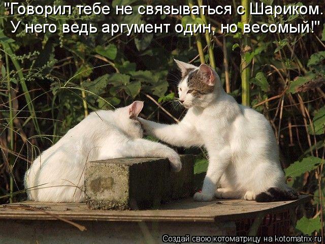 "Говорил тебе не связываться с Шариком. У него ведь аргумент один, но весомый!"... Котоматрица: "Говорил тебе не связываться с Шариком. У него ведь аргумент один, но весомый!"