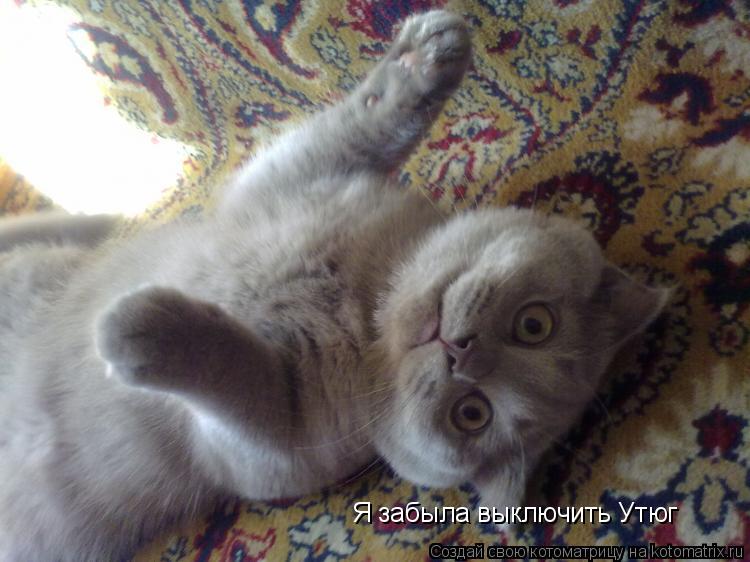 Я забыла выключить Утюг... Котоматрица: Я забыла выключить Утюг