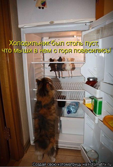 Холодильник был столь пуст, что мыши в нем с горя повесились!... Котоматрица: Холодильник был столь пуст, что мыши в нем с горя повесились!