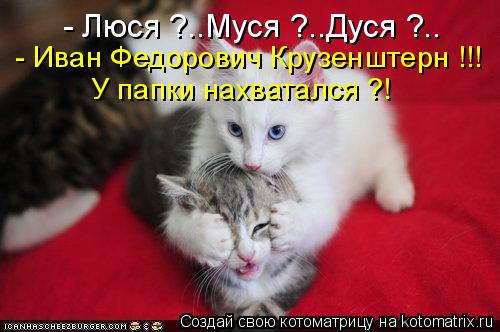 - Люся ?..Муся ?..Дуся ?.. - Иван Федорович Крузенштерн !!! У папки нахватался ?!... Котоматрица: - Люся ?..Муся ?..Дуся ?.. - Иван Федорович Крузенштерн !!! У папки нахватался ?!